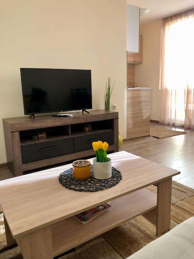 Luxury Apartment 2 Free Underground Parking Pasardschik Exterior foto
